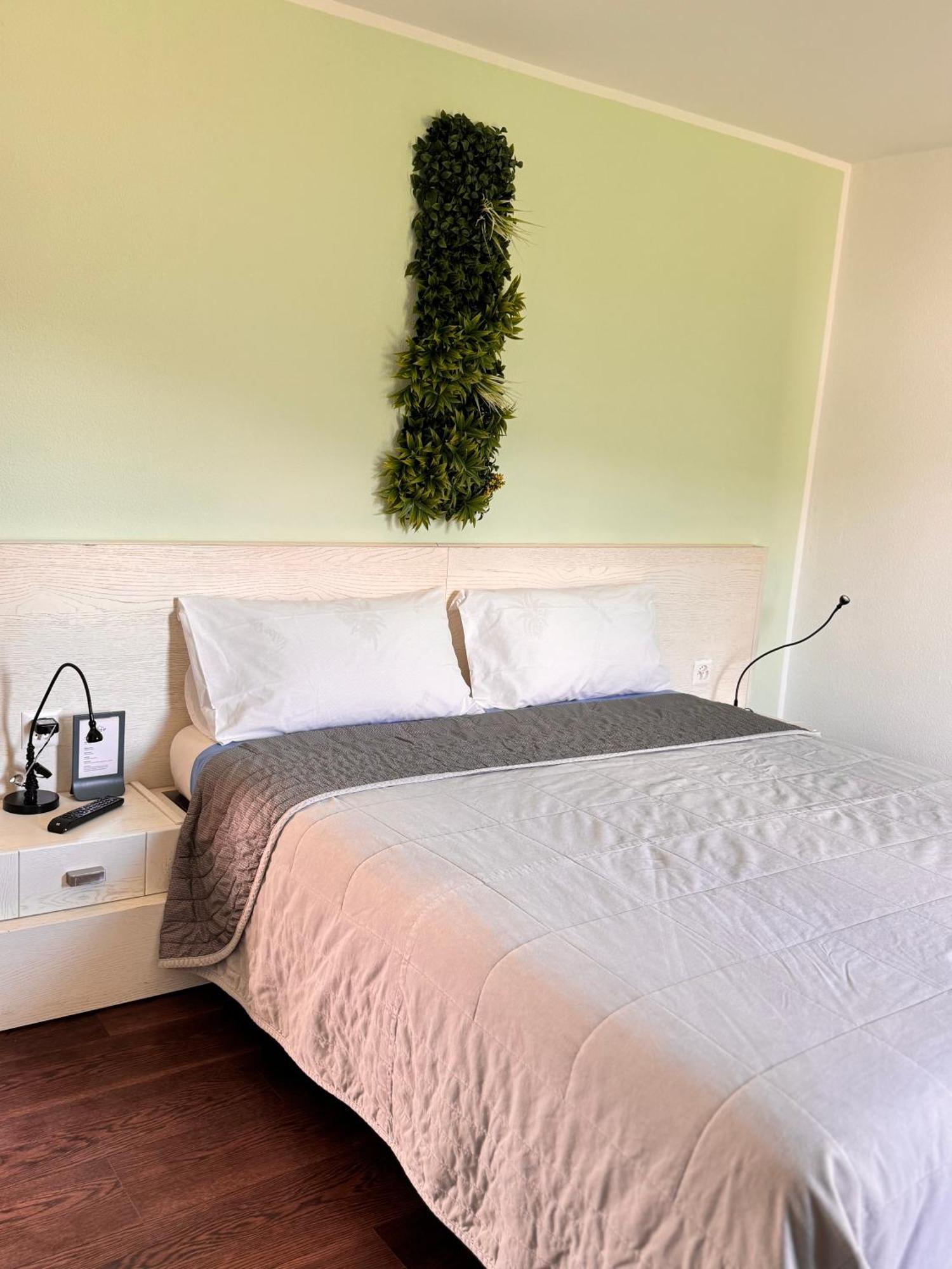Viva Bacco Bed & Breakfast Gambarogno Exterior foto