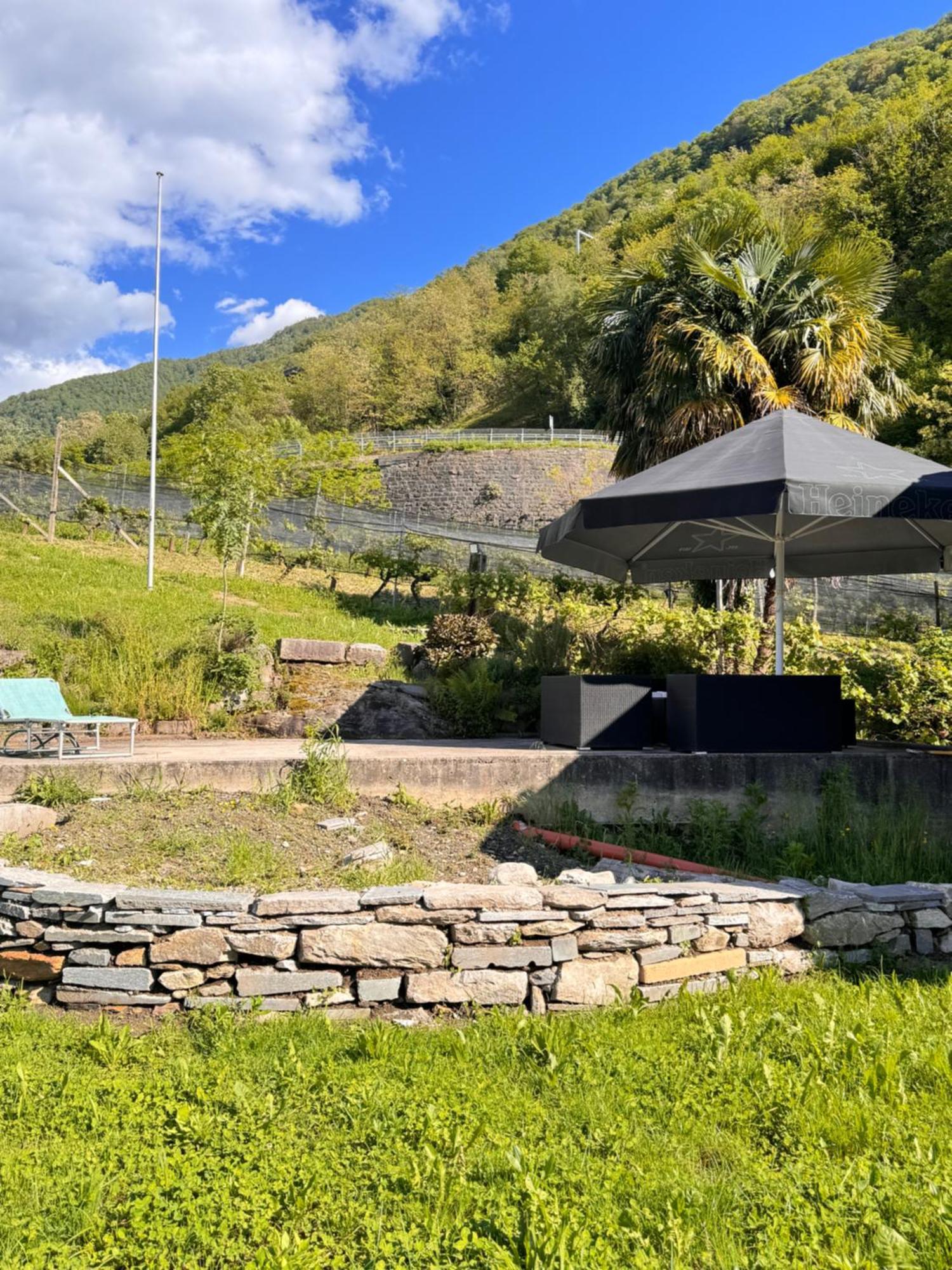 Viva Bacco Bed & Breakfast Gambarogno Exterior foto