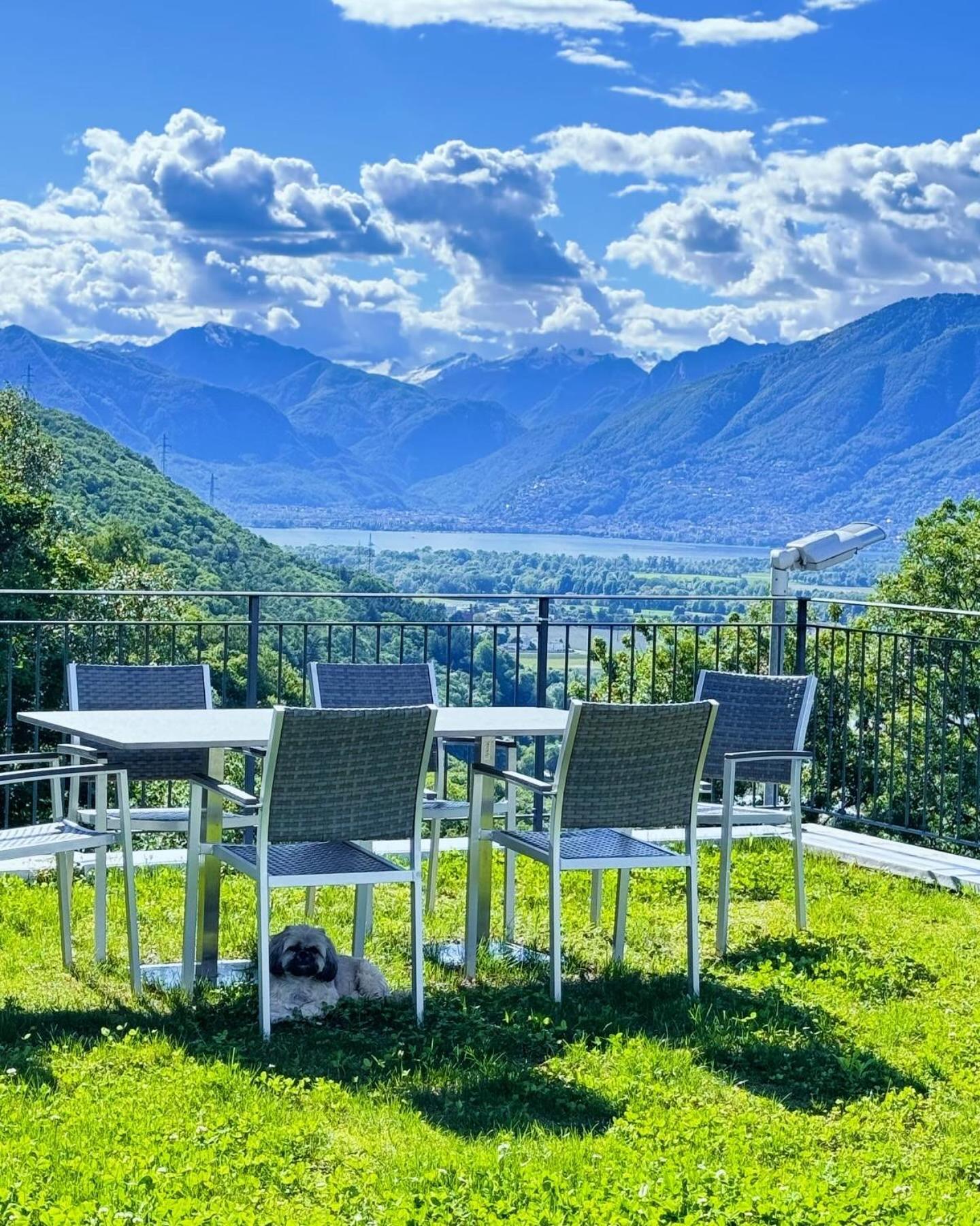 Viva Bacco Bed & Breakfast Gambarogno Exterior foto