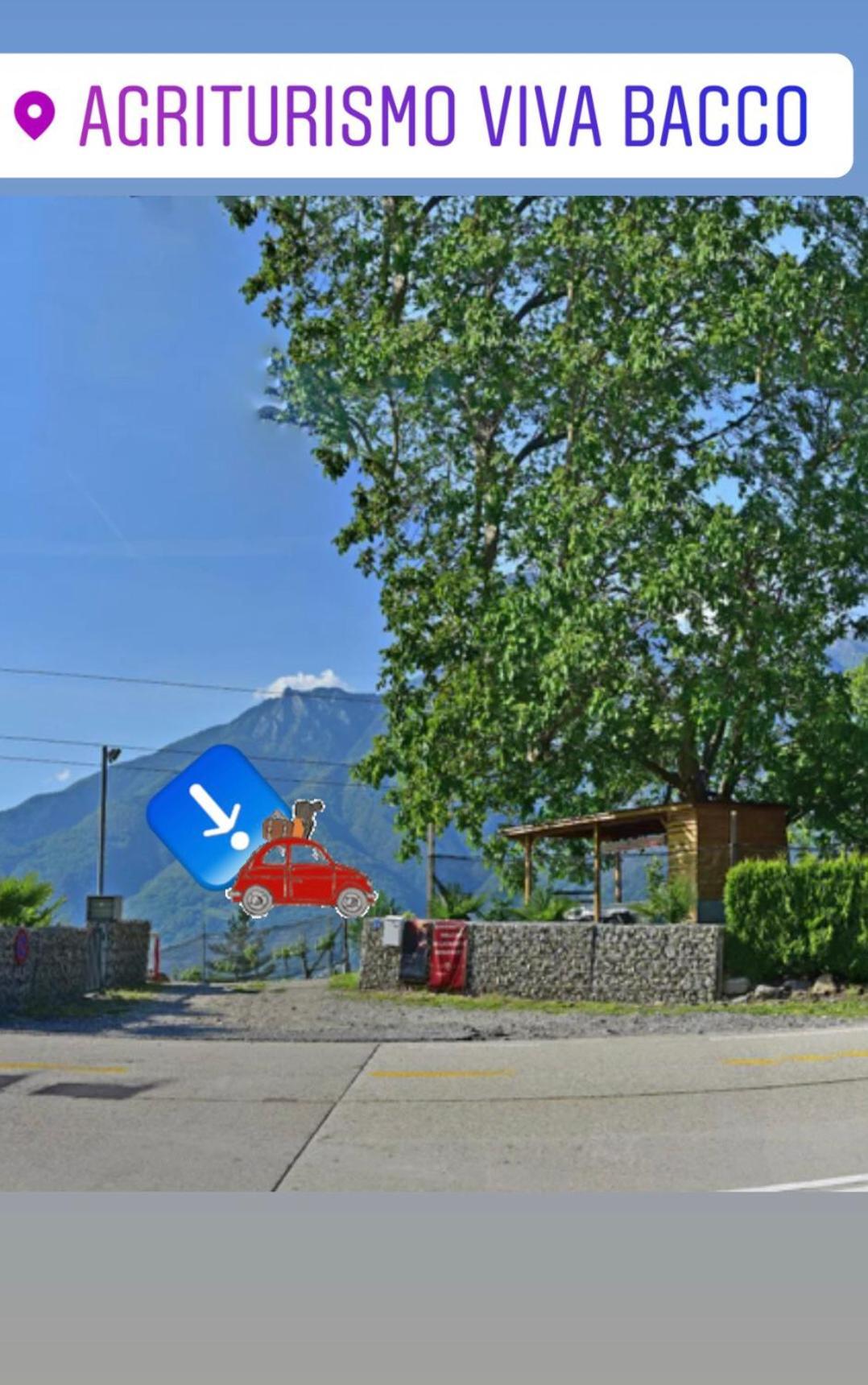 Viva Bacco Bed & Breakfast Gambarogno Exterior foto