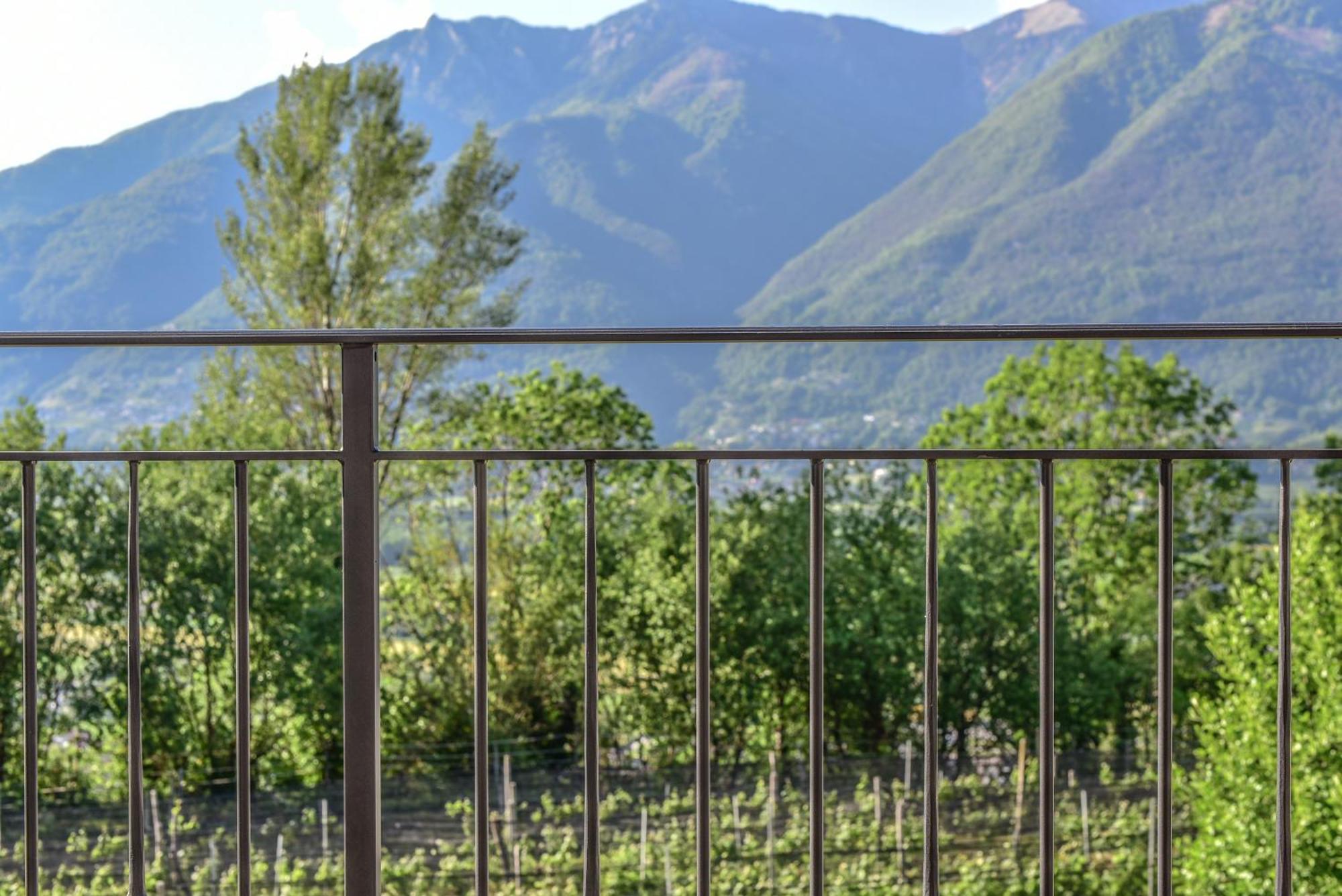 Viva Bacco Bed & Breakfast Gambarogno Exterior foto