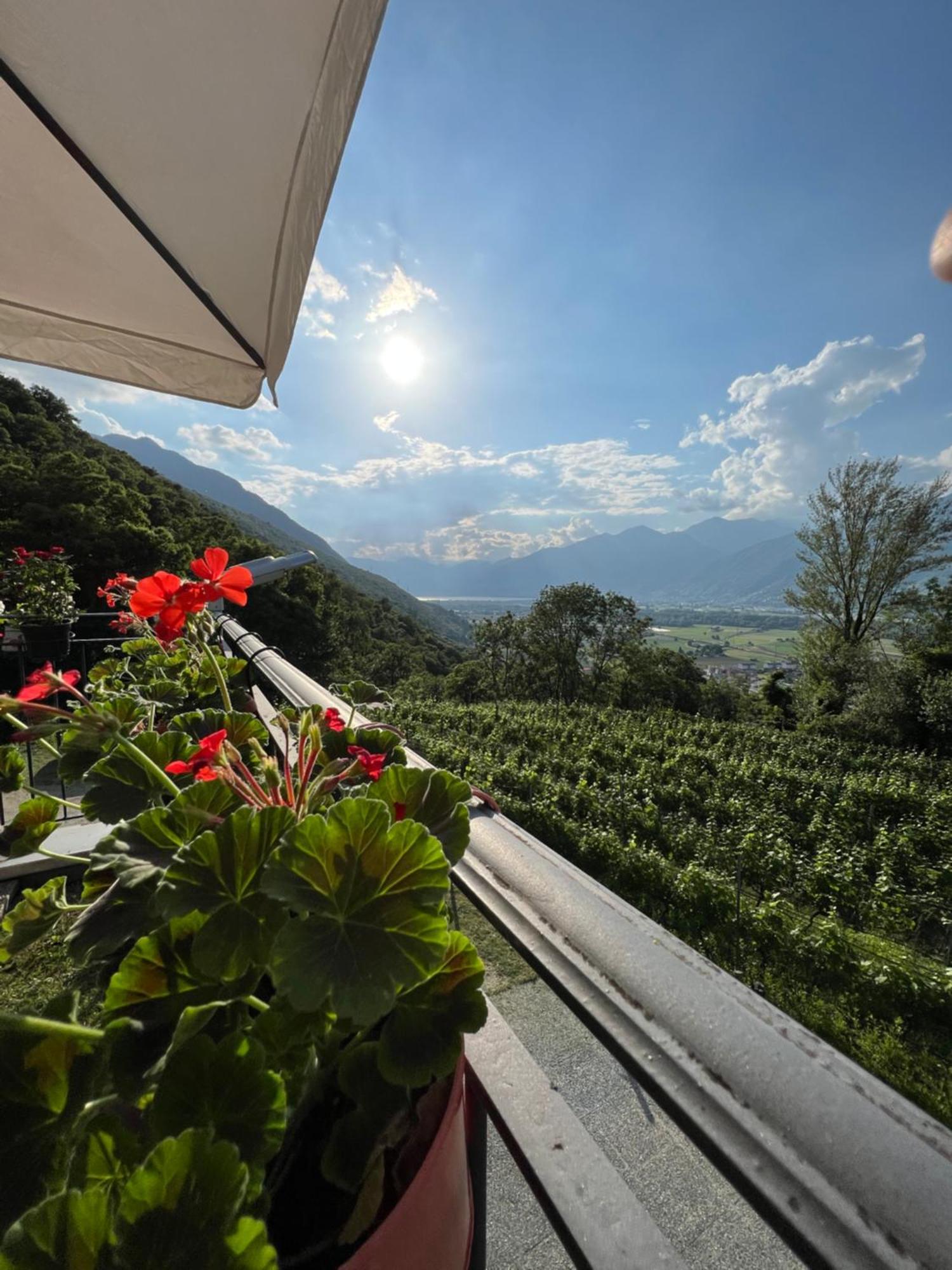 Viva Bacco Bed & Breakfast Gambarogno Exterior foto
