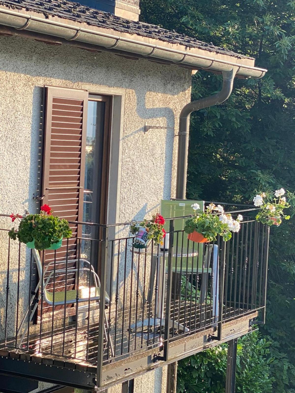 Viva Bacco Bed & Breakfast Gambarogno Exterior foto