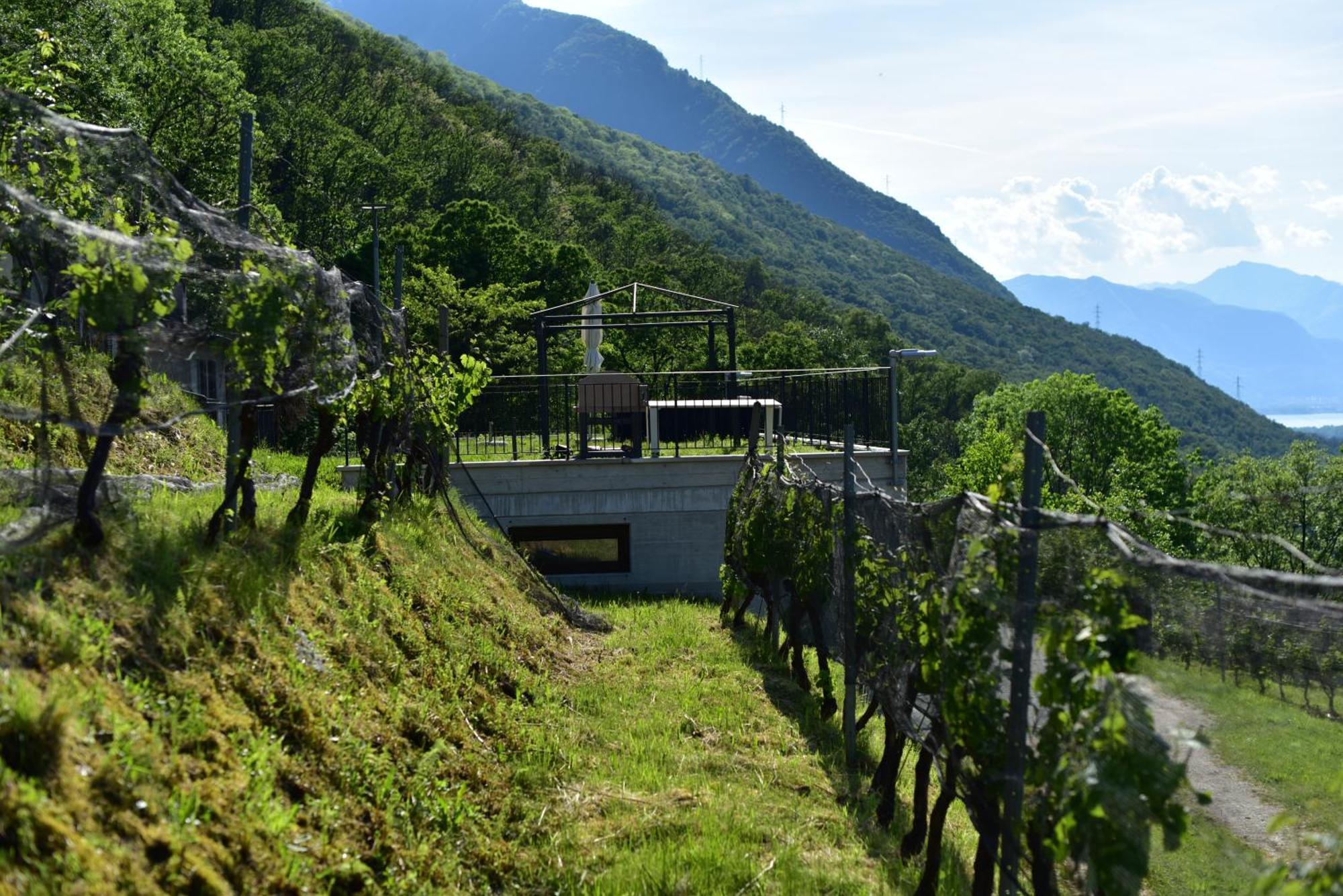 Viva Bacco Bed & Breakfast Gambarogno Exterior foto