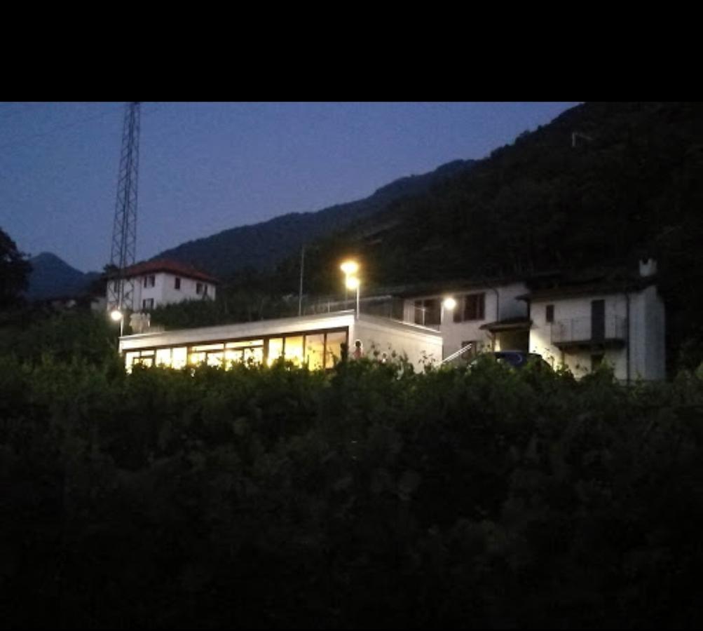 Viva Bacco Bed & Breakfast Gambarogno Exterior foto