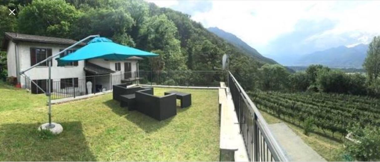 Viva Bacco Bed & Breakfast Gambarogno Exterior foto