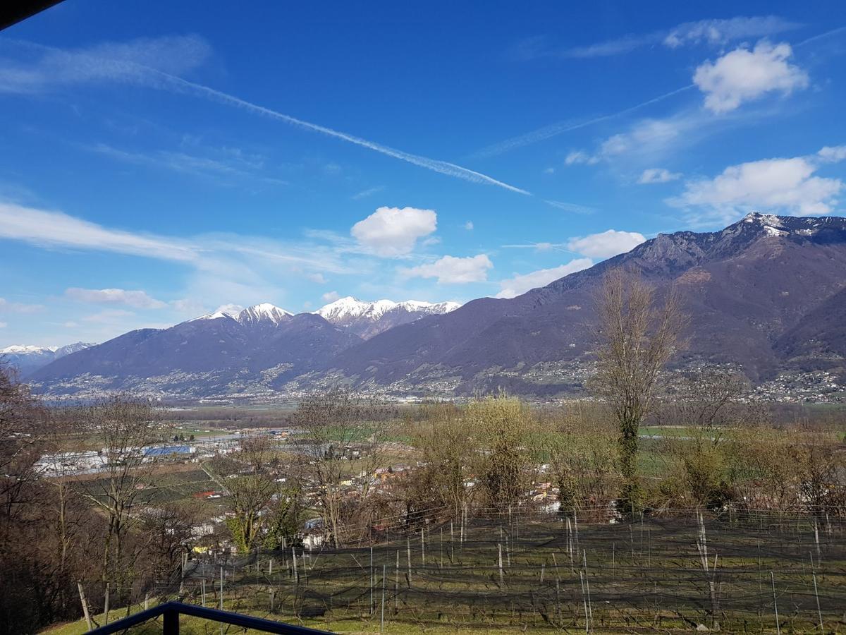 Viva Bacco Bed & Breakfast Gambarogno Exterior foto
