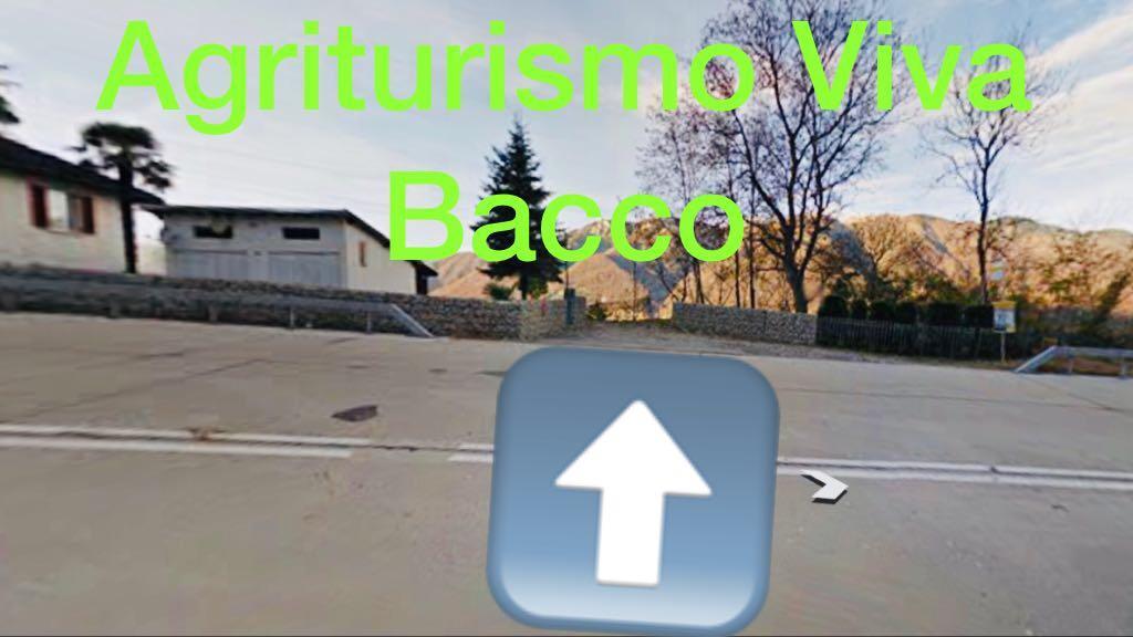 Viva Bacco Bed & Breakfast Gambarogno Exterior foto