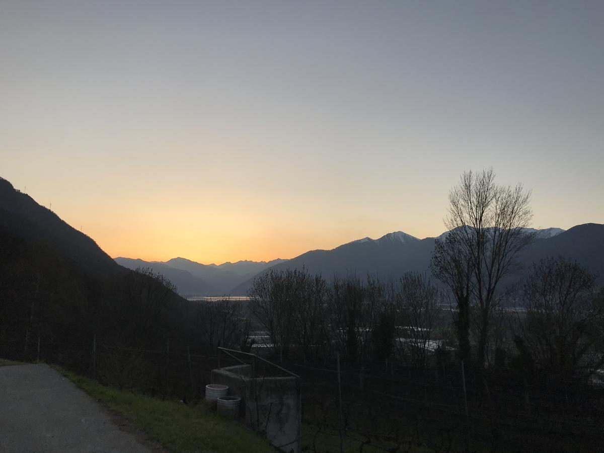 Viva Bacco Bed & Breakfast Gambarogno Exterior foto